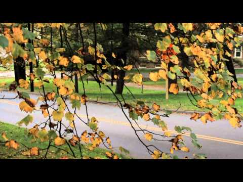 Matt D. Quick Hit Clip #2 - Toeside Check