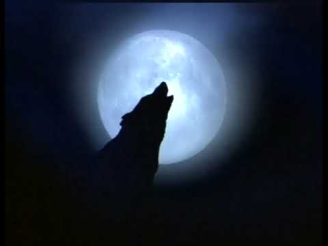 Arte en 1 Minuto Donald Judd