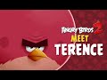 Angry Birds 2 Meet Terence Big Bad Bold