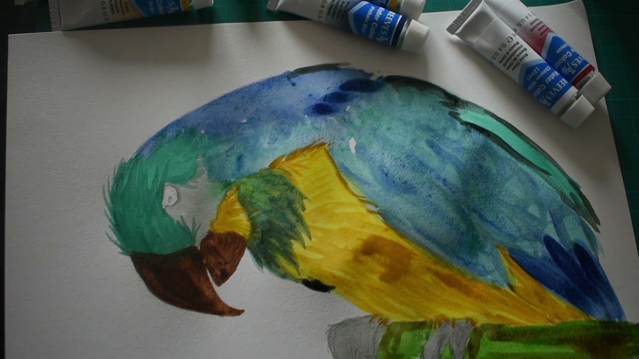 Beginner Watercolor Tutorial- Reeves watercolor review