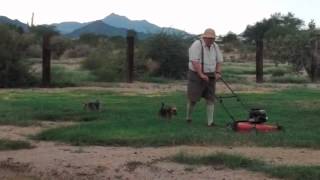 Grandaddy cuts the grass