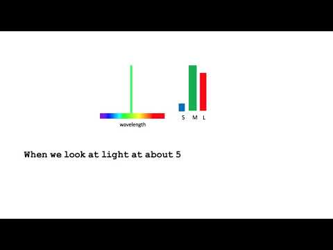 Spectate Color 2. How We See Colour | Colourchat