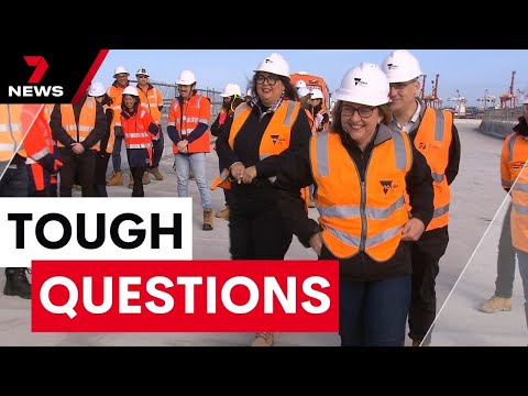 Minister Danny Pearson cops a grilling over the union crisis before the premier steped in | 7NEWS