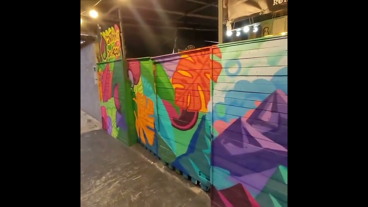 Chalé Skate (Santos/SP)- Grafite Daniel Drosh 01