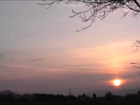 Hmeljarji   Svobodno mlado sonce