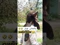 Pakistani Noyan Funny Moment Eid
