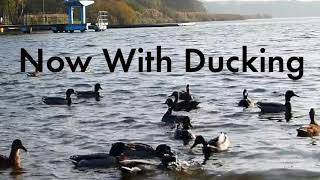 Video thumbnail for Valhalla Delay. Now With Ducking. by ValhallaDSP