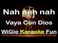 Backingtrack with lyrics  Nah neh nah - Vaya Con Dios