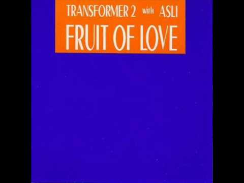 Transformer 2 - Fruit of Love (Guitar Vocal Version)