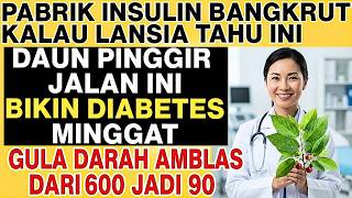 Download lagu BLOOD SUGAR 600 TO 90! Insulin Factories Will Go Bankrupt If Seniors Know the Secret of This Wild... mp3