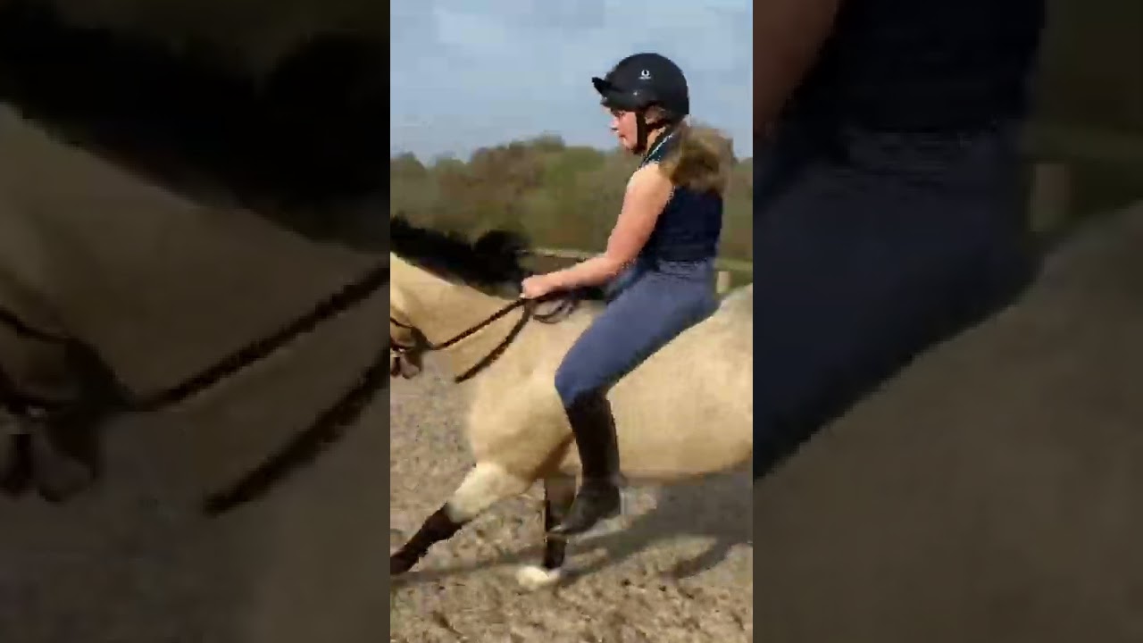 Bareback horse jumping