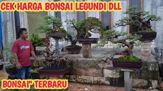 Download lagu BONSAI TERBARU‼️ LEGUNDI, LOA ,SANCANG DLL📞0813-3604-7544 @JeckpaeyBonsai91 mp3 Download lagu BONSAI TERBARU‼️ LEGUNDI, LOA ,SANCANG DLL📞0813-3604-7544 @JeckpaeyBonsai91 mp3