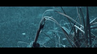 .Existence Music Video