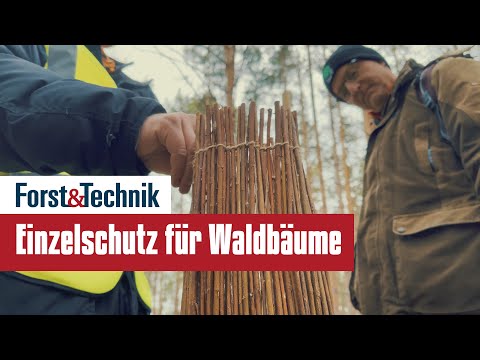 Individual protection for the forest of tomorrow