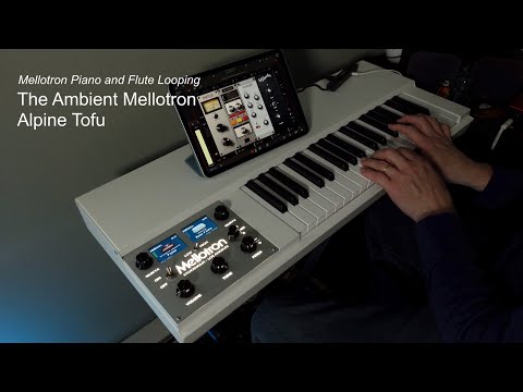 Mellotron Piano and Bass Flute Looping Using a Long Delay - The Ambient Mellotron (M4000D Mini)