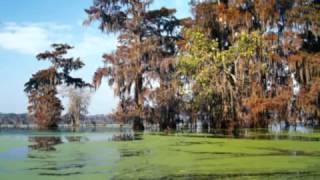 Camey Doucet   Hold My False Teeth and I'll Show You How to Dance