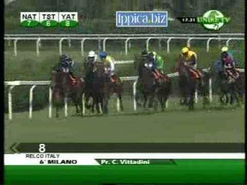 Premio Carlo Vittadini 2010 (GR 2)