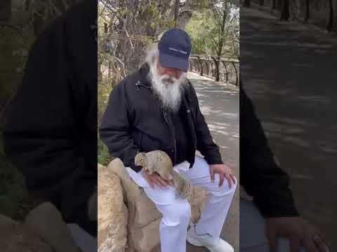 YESUDAS LATEST VIDEO PLAYING WITH A SQUIRREL AT ARIZONA USA