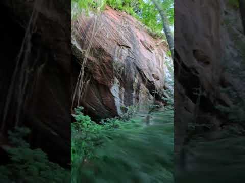 Furna da Lagoa Itapeva - Dom Pedro de Alcântara, RS #insta360x5 #morcegos