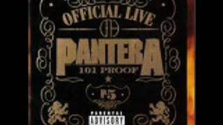 Pantera - Dom/Hollow