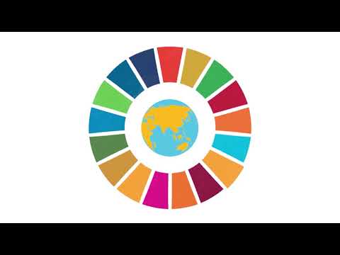 Monitoring the 2030 Agenda for Sustainable Development: the role of FAO