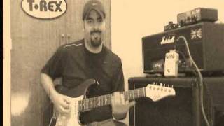 Video thumbnail for T-Rex Tonebug Reverb by Fernando Pareta