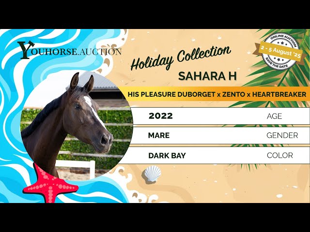 Sahara H