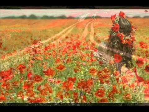 Marek Torzewski - Magnes Dusz