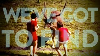 DEER BOY - WE'VE GOT TO FIND (lyrics-video)