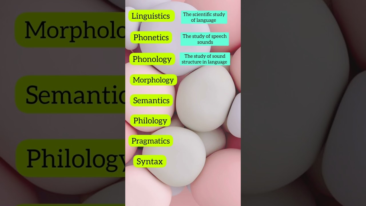 Branches of Linguistics #linguistics #branchesoflinguistics #learnenglish #learning #shorts