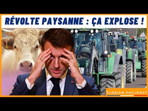 Révolte paysanne : ça explose partout ! Macron en panique !