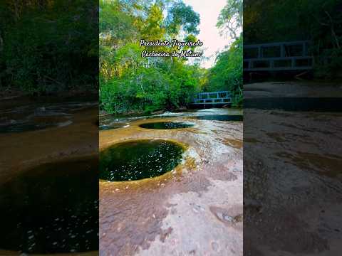 #amazonas #amazonia #brasil #brazil #waterfall #mutum #presidentefigueiredo #manaus
