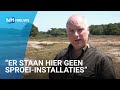 Boswachter Ben maakt zich zorgen om droogte op Gooise heide