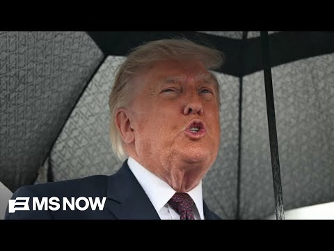 Why does Trump keep losing in his election overhaul push? Because 'it's not legal': Jong-Fast
