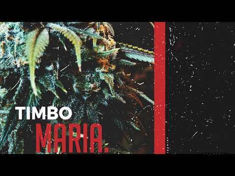 Timbo STP - Maria (Audio)