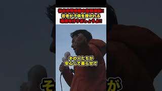 【参政党×神谷宗幣】※神谷宗幣代表の感動の街頭演説‼︎「若者が子供を授かれる環境を作りましょうよ」【#shorts #神谷宗幣 #参政党 #政治 #解散総選挙 #切り抜き】