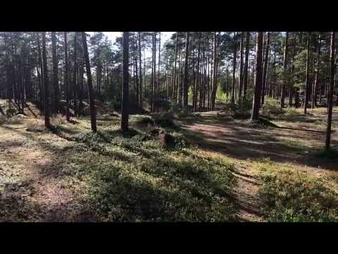 Baltic Disc Golf Championships Day 2 MPO Lead Card