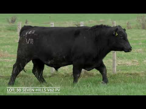Lot 30  SEVEN HILLS V62 PV