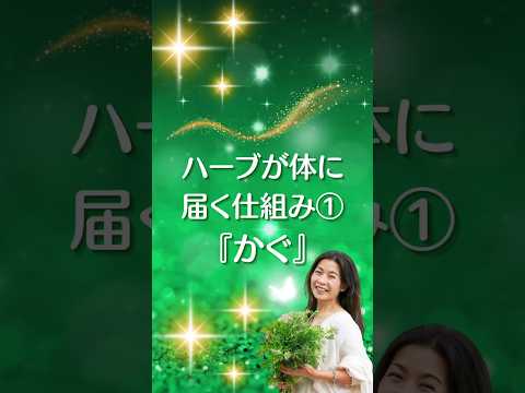 医療ビジネス薬科学科 2024年2月1日