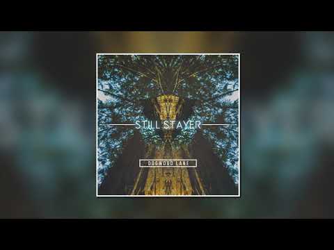 STILL STAYER - Dogwood Lane (Feat. Alan Rigdon)