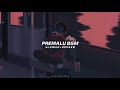 Premalu BGM Slowed Reverb Flute Version