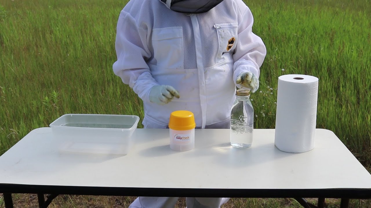 Video for Checking for Varroa Mites Video for Checking for Varroa Mites