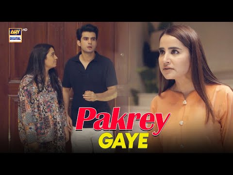 Ice Cream khane gaye the hum... 😛 | Best Scene | Chaalbaaz | ARY Digital Drama