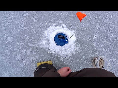 Фото СТОЛЬКО ПОДЪЕМОВ Я ЕЩЕ НЕ ВИДЕЛ. Зимняя рыбалка 2022 ловим щуку на жерлицы, готовлю на льду.