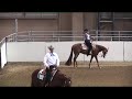 440 PHBA PB Western Pleasure All Ages Copy Trim