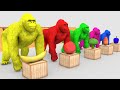 Baby Boss Dance Monkey Cute Little Kids Video