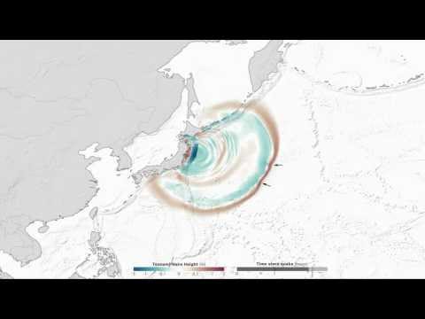 Altura da onda do tsunami no Japão em 2011, as primeiras 2,4 horas