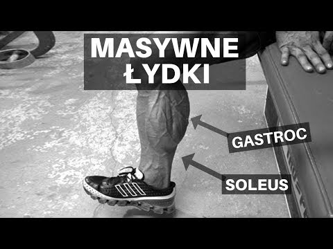 Rod Muscle huśtawka Czaszka mięśnie żucia