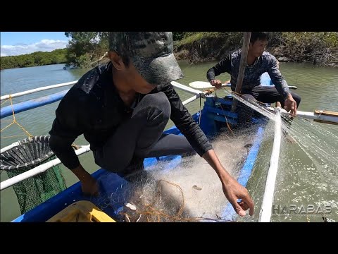 EP809-P1 - Panlalambat ng Isda sa Ilog | Occ. Mindoro