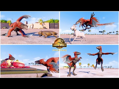 Pyroraptor All Perfect Animations & Interactions 🦖 Jurassic World Evolution 2 - JWE - Dominion DLC